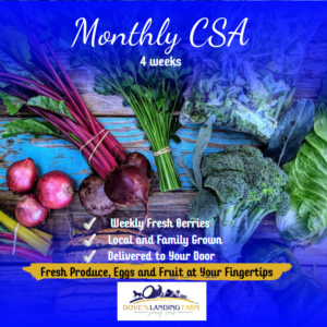 November CSA