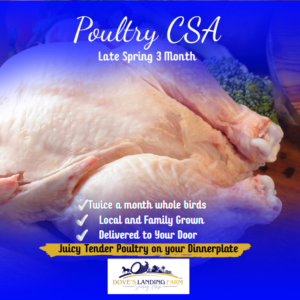 Late Spring Poultry CSA 2027