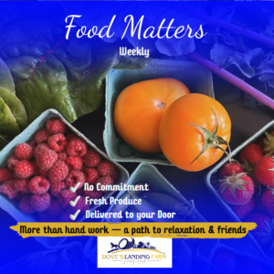 Food Matters Weekly