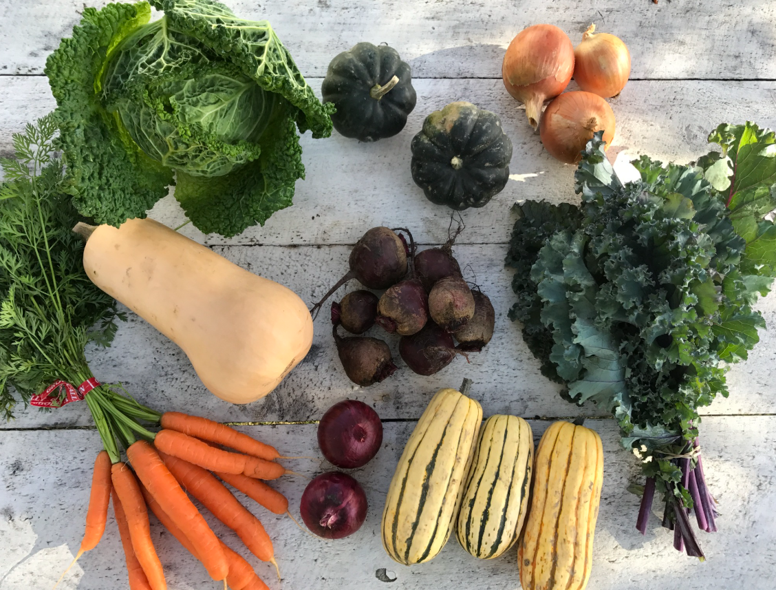Dove's Landing Farm LLC photo 13